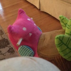 Meet your Posher, Ann